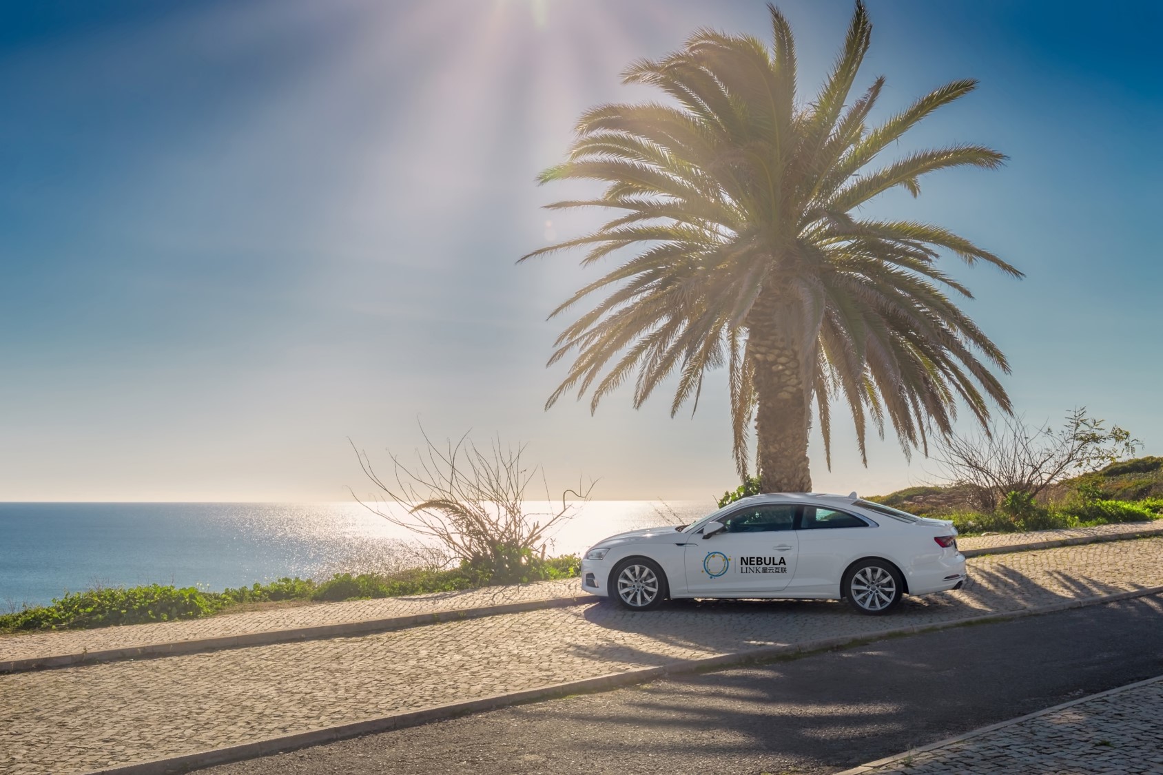 1554343171192142.jpg 图片8.jpg