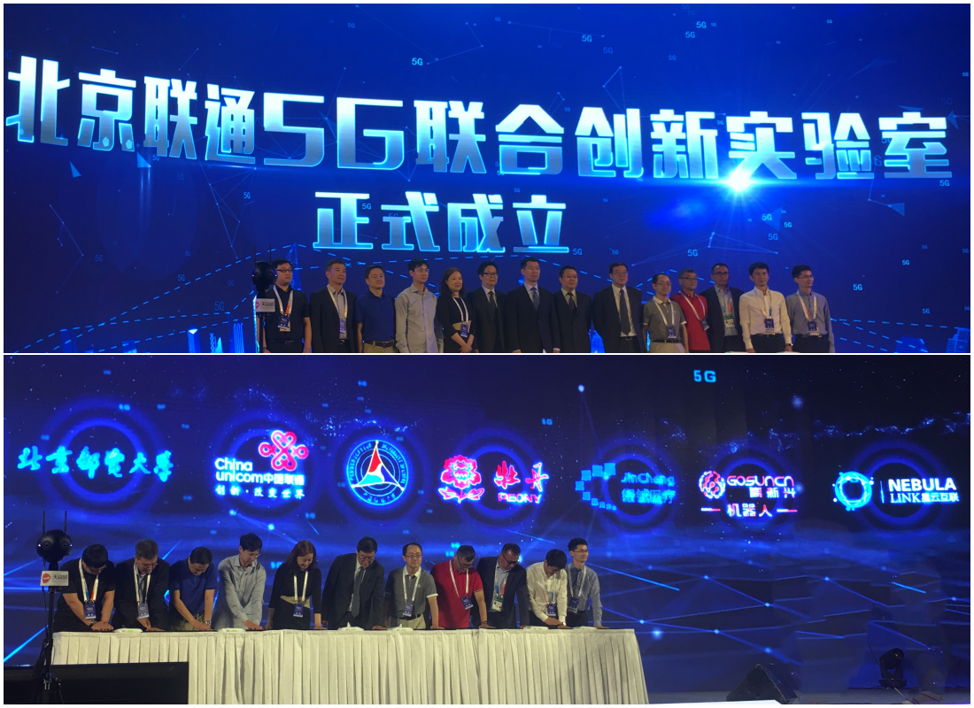 1559698654535618.png collage2.png